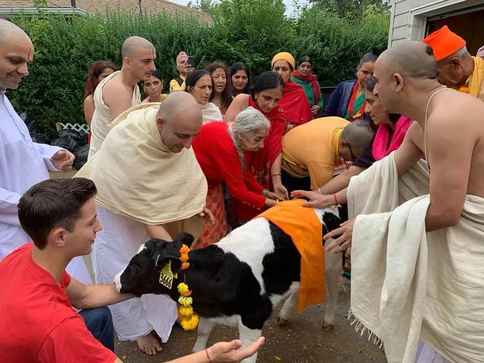 Wellness & Spiritual Life